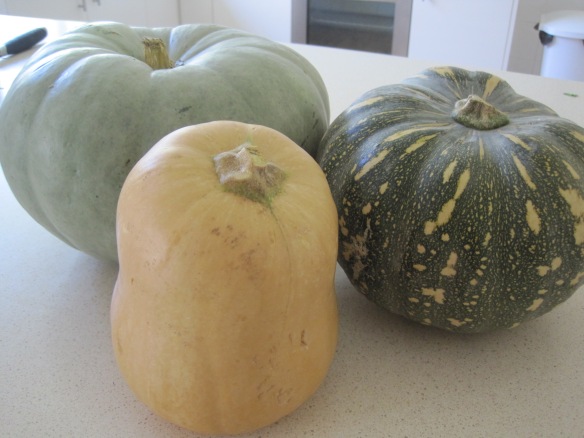 three pumpkins different colour and shapes