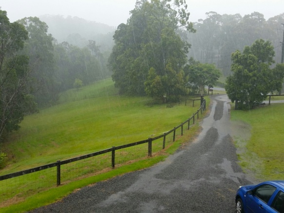 heavy rain on the driveway and paddock