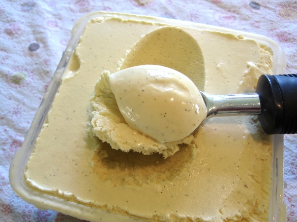 homemade vanilla bean ice cream