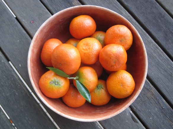 mandarins, home grown